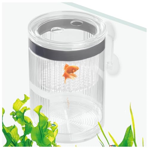 La La Pet Schwimmende Fischzucht Isolationsbox mit Saugnäpfen 270° Fließende Wasservermehrung Separate Eltern- und Babyfische Transparente Schlüpfboxen Inkubator für Tanks Groß von La La Pet