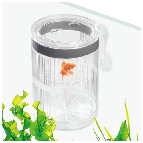 La La Pet Schwimmende Fischzucht Isolationsbox mit Saugnäpfen 270° Fließende Wasservermehrung Separate Eltern- und Babyfische Transparente Schlüpfboxen Inkubator für Tanks Klein La La Pet Schwimmende Fischzucht Isolationsbox mit Saugnäpfen 270° Fließende Wasservermehrung Separate Eltern- und Babyfische Transparente Schlüpfboxen Inkubator für Tanks Klein von La La Pet