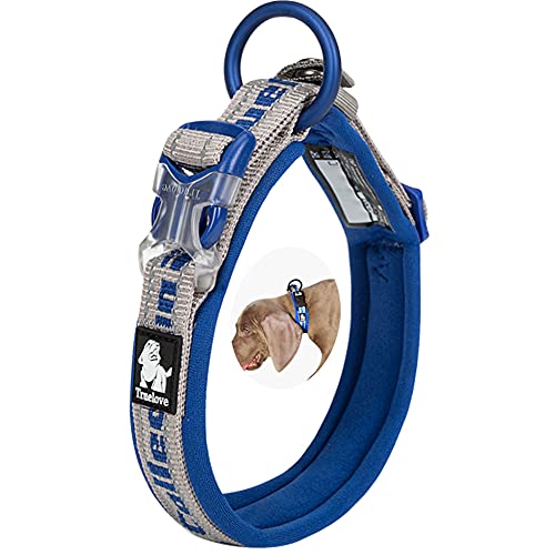 Reflektierendes Hundehalsband Neopren Gepolstertes Hundehalsband Nylon Haustier Halsband Verstellbar Hundehalsband für Kleine Mittlere Hunde Welpenhalsband Königsblau M von La La Pet