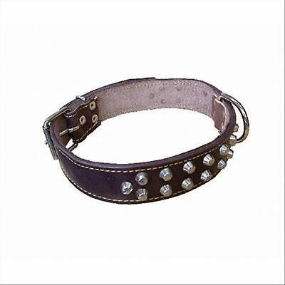 La zappa Hundehalsband aus Leder mit Nieten und Metallschnalle (60 cm) von La zappa