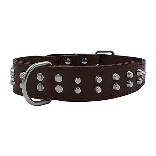 La zappa Hundehalsband aus Leder mit Nieten und Metallschnalle (70 cm) von La zappa