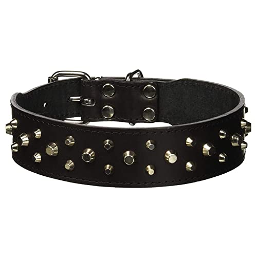 La zappa Hundehalsband aus gepolstertem Leder mit Nieten und Metallschnalle von La zappa