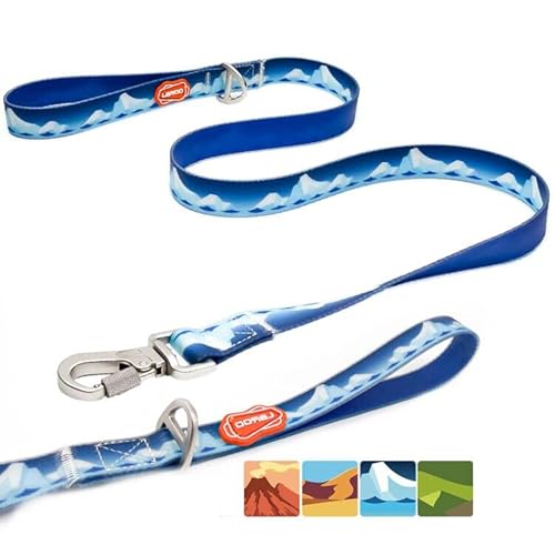 LaRoo Hundeleine Wasserfest, 120 x 2,5cm Zugfestigkeit Weich Dauerhaft PVC-Beschichtetes Nylongewebe Hundeleinen mit Starke Edelstahl Karabiner, für Welpen kleine Mittel Große Hunde (L, Blau) von LaRoo