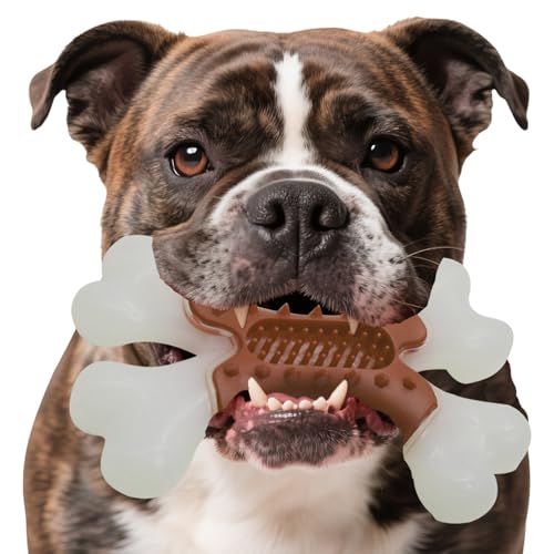 LaRoo Kauspielzeug für Hunde für aggressive Kauer, robuste Knochen, unzerstörbares Hundespielzeug aus Nylon, für mittelgroße und große Rassen, um sie zu beschäftigen, Rindfleischgeschmack von LaRoo