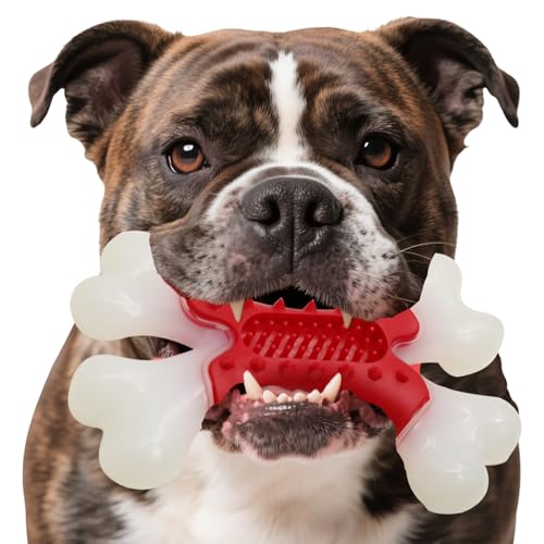 LaRoo Kauspielzeug für Hunde für aggressive Kauer, robuste Knochen, unzerstörbares Hundespielzeug aus Nylon, für mittelgroße und große Rassen, um sie zu beschäftigen, mit echtem Rindfleischgeschmack von LaRoo