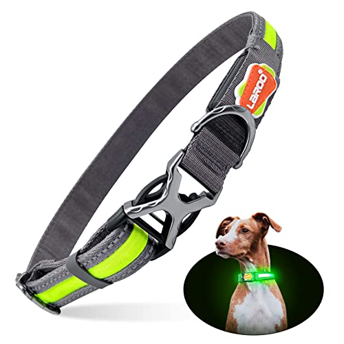 LaRoo LED Leuchthalsband Hund USB Aufladbar Nylon Robuste Edelstahl-Metallschnalle Einstellbar Nacht Leuchte Hundehalsband Halsband für Große Hunde Langhaar (M:2.5*(36-51) cm) von LaRoo
