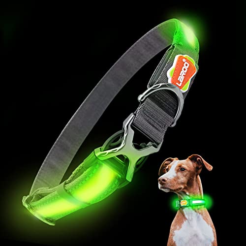 LaRoo LED Leuchthalsband Hund USB Aufladbar Nylon Robuste Edelstahl-Metallschnalle Einstellbar Nacht Leuchte Hundehalsband Halsband für Große Hunde Langhaar (L:2.5*(43-64) cm) von LaRoo