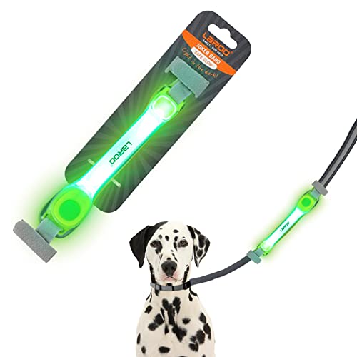 LaRoo Leuchtendes Hundehalsband mit Nylonaufklebern, universelles leuchtendes Halsbandzubehör für Leinengeschirr, Silikon, wasserdicht, blinkend, für Nacht und im Freien von LaRoo
