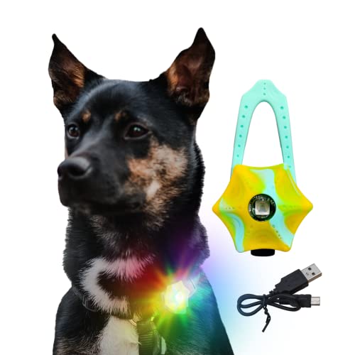 LaRoo Sicherheits LED Blinklicht für Hunde, Katzen, USB Wiederaufladbar LED Nachtlicht Halsbandschmuck Wasserdicht Nachts Spaziergang mit dem Hund Outdoor (Gemischt-GelbGrün) von LaRoo