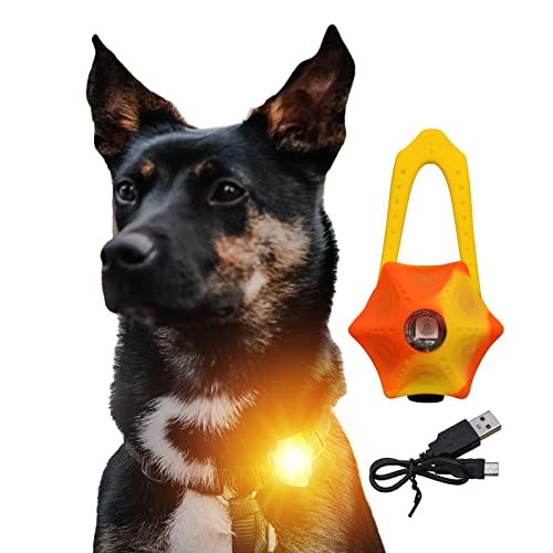 LaRoo Sicherheits LED Blinklicht für Hunde, Katzen, USB Wiederaufladbar LED Nachtlicht Halsbandschmuck Wasserdicht Nachts Spaziergang mit dem Hund Outdoor (Gemischt-Rot) von LaRoo