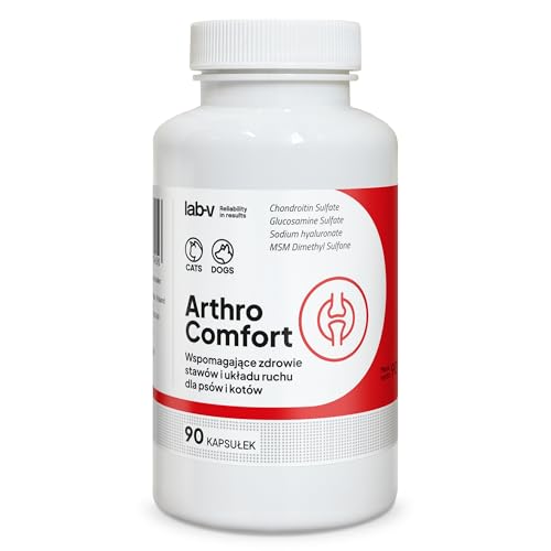Lab-V Arthro Comfort für Hunde und Katzen – Ergänzungsfuttermittel zur Unterstützung von Gelenken und Beweglichkeit – 90 Kapseln – mit Glucosamin & Chondroitin – ohne Zusatzstoffe Lab-V Arthro Comfort für Hunde und Katzen – Ergänzungsfuttermittel zur Unterstützung von Gelenken und Beweglichkeit – 90 Kapseln – mit Glucosamin & Chondroitin – ohne Zusatzstoffe von Lab-V