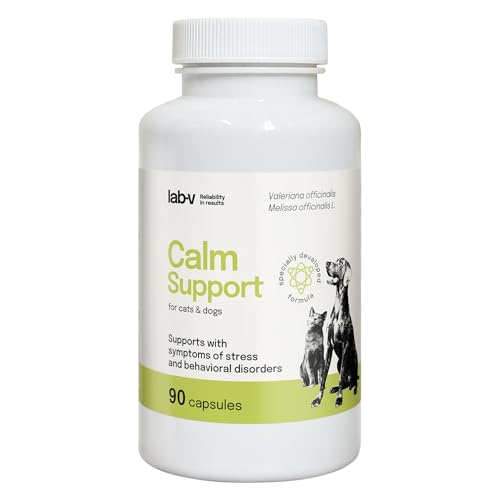 Lab-V Calm Support für Hunde und Katzen – Ergänzungsfuttermittel zur Unterstützung bei Stress und Unruhe – 90 Kapseln – ohne künstliche Zusatzstoffe – täglich anwendbar Lab-V Calm Support für Hunde und Katzen – Ergänzungsfuttermittel zur Unterstützung bei Stress und Unruhe – 90 Kapseln – ohne künstliche Zusatzstoffe – täglich anwendbar von Lab-V