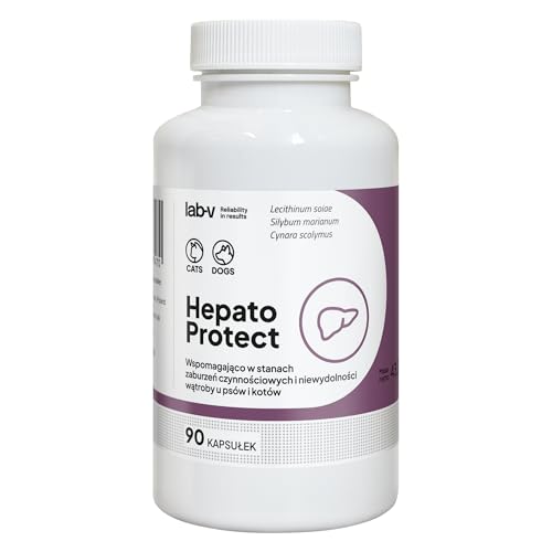 Lab-V Hepato Protect für Hunde und Katzen – Ergänzungsfuttermittel zur Unterstützung der Leberfunktion – 90 Kapseln – ohne künstliche Zusatzstoffe – leicht zu verabreichen Lab-V Hepato Protect für Hunde und Katzen – Ergänzungsfuttermittel zur Unterstützung der Leberfunktion – 90 Kapseln – ohne künstliche Zusatzstoffe – leicht zu verabreichen von Lab-V