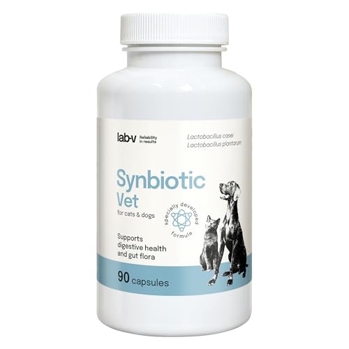 Lab-V Synbiotic Vet für Hunde und Katzen – Ergänzungsfuttermittel zur Unterstützung von Verdauung und Darmflora – 90 Kapseln – mit Probiotika & Präbiotika – ohne Zusatzstoffe Lab-V Synbiotic Vet für Hunde und Katzen – Ergänzungsfuttermittel zur Unterstützung von Verdauung und Darmflora – 90 Kapseln – mit Probiotika & Präbiotika – ohne Zusatzstoffe von Lab-V