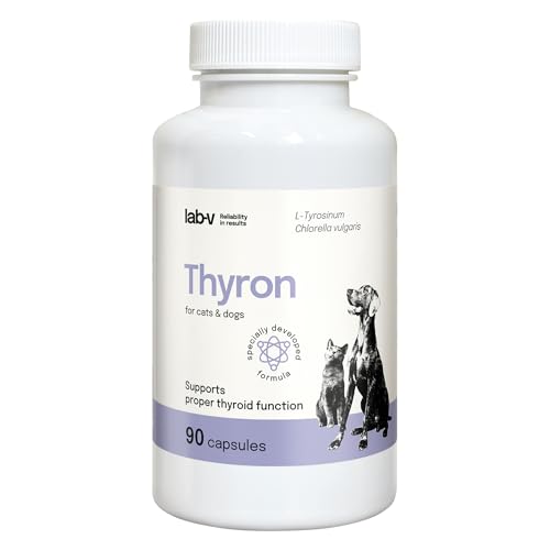 Lab-V Thyron für Hunde und Katzen – Ergänzungsfuttermittel zur Unterstützung der Schilddrüsenfunktion – 90 Kapseln – ohne künstliche Zusatzstoffe – täglich anwendbar Lab-V Thyron für Hunde und Katzen – Ergänzungsfuttermittel zur Unterstützung der Schilddrüsenfunktion – 90 Kapseln – ohne künstliche Zusatzstoffe – täglich anwendbar von Lab-V