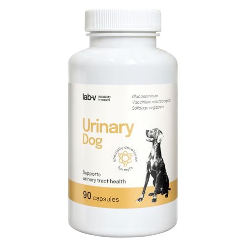Lab-V Urinary Dog – Ergänzungsfuttermittel für Hunde zur Unterstützung der Harnwege – 90 Kapseln – mit Cranberry & D-Mannose – ohne künstliche Zusatzstoffe von Lab-V