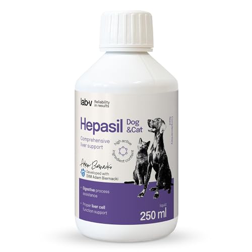 Lab-v Hepasil für Hunde & Katzen – Flüssige Ergänzungsfuttermittel mit Cholin, L-Carnitin, Mariendistel & B-Vitaminen – 250 ml Leberunterstützung für Haustiere von Lab-V