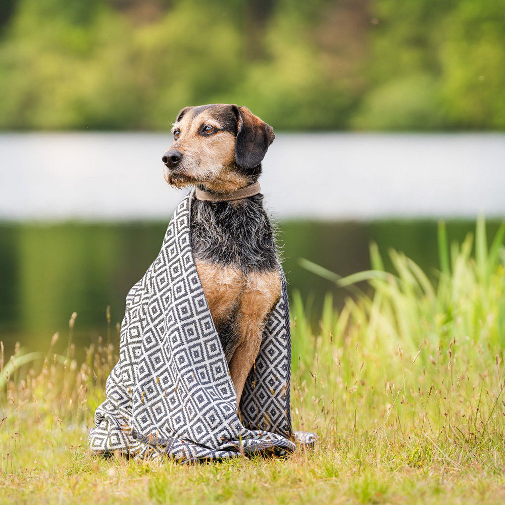 Labbvenn Hundehandtuch Linaa grau-weiß, Maße: ca. 75 x 150 cm von Labbvenn