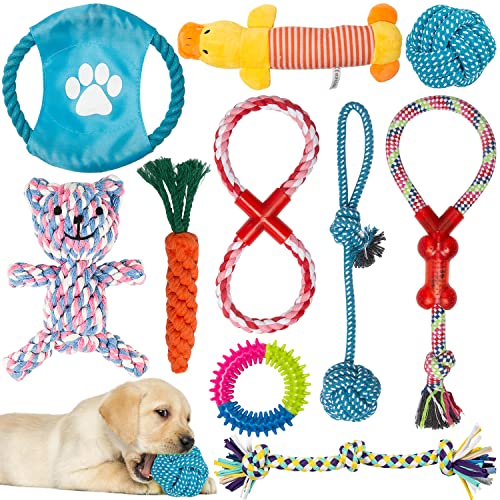 Labeol Welpenspielzeug ab 8 Wochen Hundespielzeug, interaktives Kauspielzeug, 10 Stück, unzerstörbar, natürliche Baumwolle, kleines Hundespielzeug für kleine Welpen und mittelgroße Hunde von Labeol