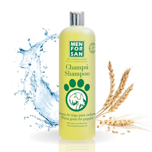 MENFORSAN Shampoo für Welpen mit Weizenkeimen | Stimuliert das Fellwachstum | Reizt die Augen des Hundes Nicht | Mit natürlichem Kollagen | Duftfrei | 1L MENFORSAN Shampoo für Welpen mit Weizenkeimen | Stimuliert das Fellwachstum | Reizt die Augen des Hundes Nicht | Mit natürlichem Kollagen | Duftfrei | 1L von Menforsan
