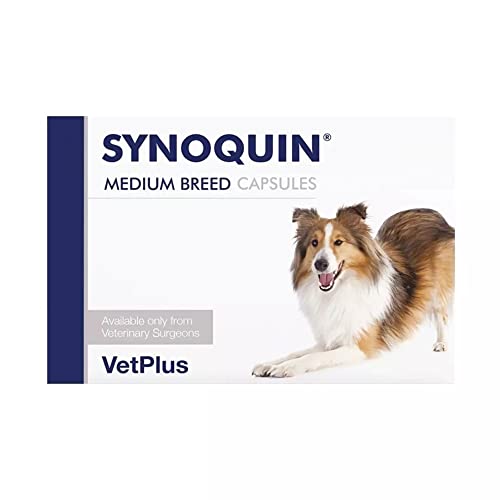 Vetplus Synoquin EFA Laboratorien für mittelgroße Rassen, 120 Kapseln von Laboratorios Vetplus