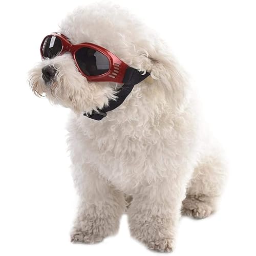 Haustierbrille Hund Sonnenbrille Hund Sonnenbrille Winddicht Welpen Brille Anti-Beschlag UV-Schutz Sonnenbrille Cosplay Foto Requisiten für Katzen & kleine Hunde (Rot) von Labstandard