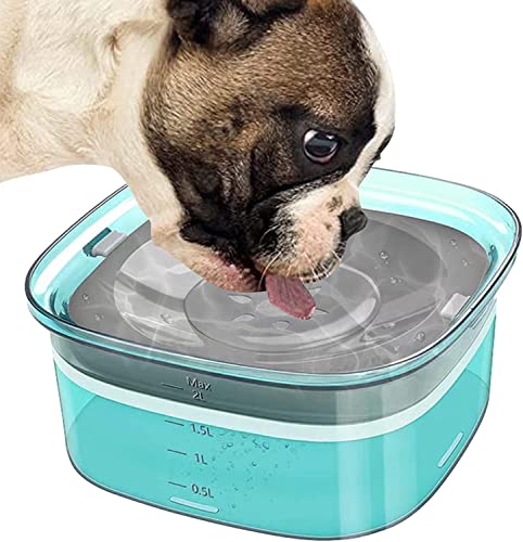 Labstandard Hundenapf Auslaufsicher 2L Wassernapf für Hunde ohne Sabbern rutschfest Trinknapf Hund Anti Schlabber Wasserspender Unterwegs Schwimmender Wassernapf für Haustiere (Grün) von Labstandard