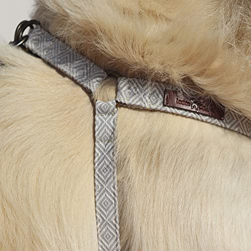 Harness Kork - L von Ladran Gaucho