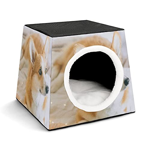 Bedruckte Katzenhäuser Katzenhöhle für Katzen Faltbares Haustier Haus Katzenbett Katzensofa mit Flauschiges Kissen Netter hochnäsiger Hund von LafalPer