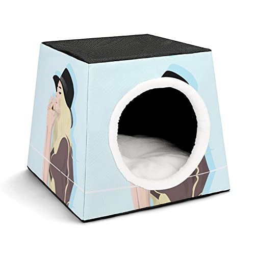 Bedruckte Katzenhäuser Katzenhöhle für Katzen Faltbares Haustier Haus Katzenbett Katzensofa mit Flauschiges Kissen Weibliche Mode-Illustration von LafalPer