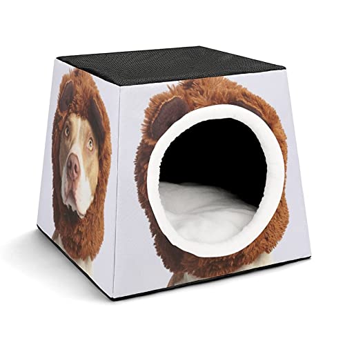 Bedruckte Katzenhäuser & Katzenhöhle Süß Faltbarer Katzenwürfel Katzenbett Katzensofa mit Abnehmbarem Kissen EIN Hund in einem Plüschhut von LafalPer