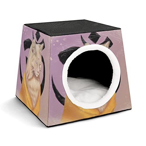 Bedruckte Katzenhäuser & Katzenhöhle Süß Faltbarer Katzenwürfel Katzenbett Katzensofa mit Abnehmbarem Kissen Gelbe Katze Animation von LafalPer