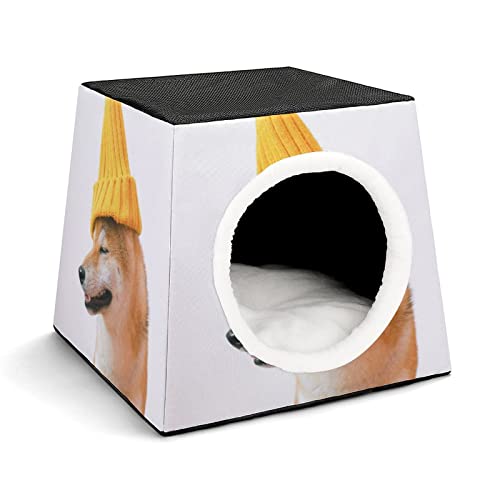 Bedruckte Katzenhäuser & Katzenhöhle Süß Faltbarer Katzenwürfel Katzenbett Katzensofa mit Abnehmbarem Kissen Hund Haustier von LafalPer