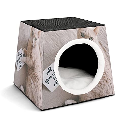 Bedruckte Katzenhöhle Katzenhaus Hundehütte Faltbar als Katzenbett Katzensofa für Katzen Kleintiere mit Abnehmbarem Kissen Eine Katze mit Schreibwaren von LafalPer