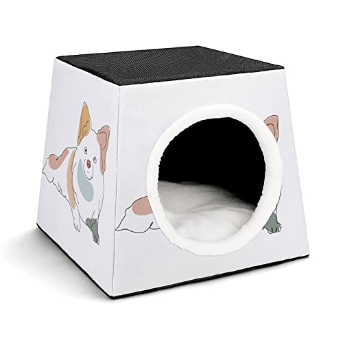 Bedruckte Katzenhöhle Katzenhaus Hundehütte Faltbar als Katzenbett Katzensofa für Katzen Kleintiere mit Abnehmbarem Kissen Hund Chihuahua von LafalPer
