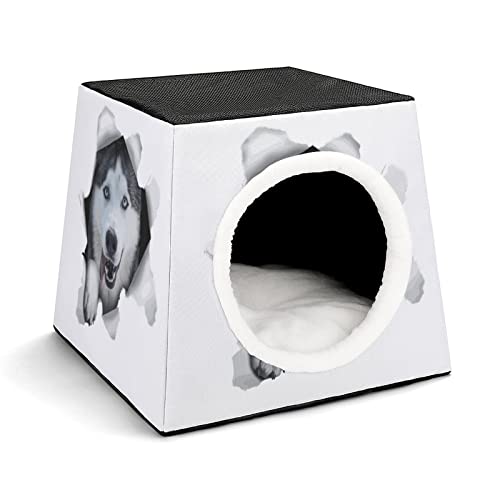 Bedruckter Katzenwürfel Haustier Haus für Katzen Indoor Katzenhöhle Katzenbett Hundehütte Waschbar Winterfest Husky Hund Weiß von LafalPer