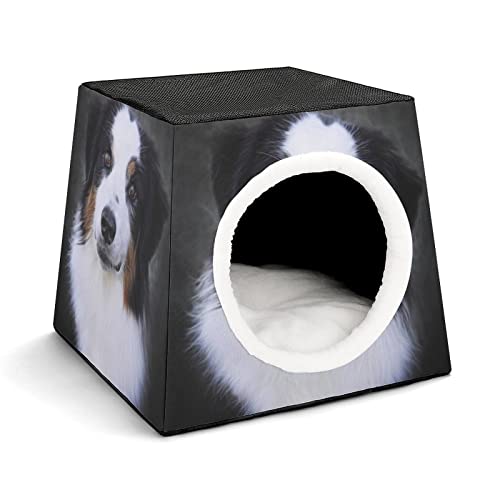 Personalisiert Katzenhöhle Katzenhaus für Katzen Bedruckte Haustier Haus Katzenbett Katzenwürfel Stabil und Warm Schöner Hund von LafalPer