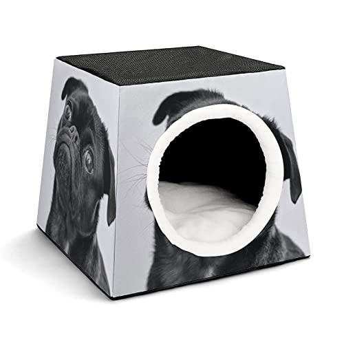 Personalisiertes Katzenhaus Katzenbett Bedruckte Katzenwürfel Katzenhöhle für Kleintiere mit Abnehmbarem Matte EIN stolzer Hund von LafalPer