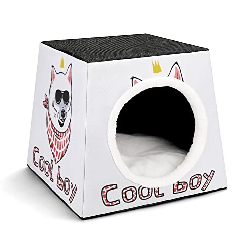 Personalisiertes Katzenhaus Katzenbett Bedruckte Katzenwürfel Katzenhöhle für Kleintiere mit Abnehmbarem Matte Hund Cooler Junge von LafalPer