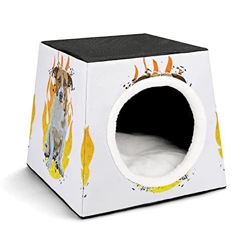 Personalisiertes Katzenhaus Katzenbett Bedruckte Katzenwürfel Katzenhöhle für Kleintiere mit Abnehmbarem Matte Hund Flamme von LafalPer