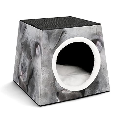 Personalisiertes Katzenhaus Katzenbett Bedruckte Katzenwürfel Katzenhöhle für Kleintiere mit Abnehmbarem Matte Melancholischer Hund von LafalPer