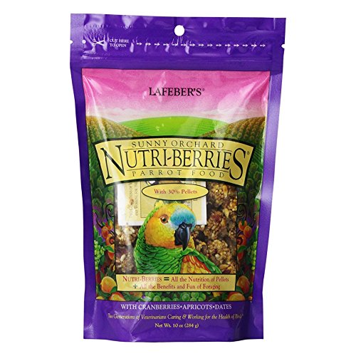 LAFEBER'S Sunny Orchard Nutri-Berries Vogelfutter, hergestellt mit Nicht-gentechnischen und menschlichen Inhaltsstoffen, für Papageien, 284 ml von Lafeber