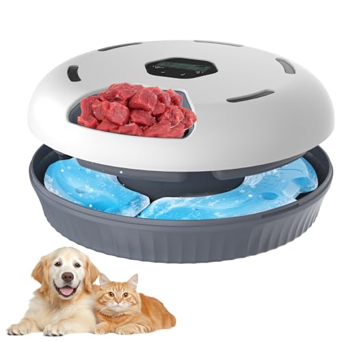 Lafisun Futterautomat Katze Nassfutter, 6 Mahlzeiten Nassfutterautomat für Katzen mit 2 Kühlakkus, Programmierbarem Timer, Katzenfutter Automat Nassfutter Lafisun Futterautomat Katze Nassfutter, 6 Mahlzeiten Nassfutterautomat für Katzen mit 2 Kühlakkus, Programmierbarem Timer, Katzenfutter Automat Nassfutter von Lafisun