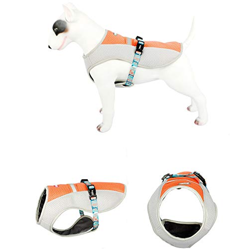 LahAd Ruffwear Kühlweste Hunde Kühlweste Eisweste für Hunde Kühlweste für Hunde Medium Kühlwesten für Hunde Coole Mäntel für Hunde orange,63 von LahAd