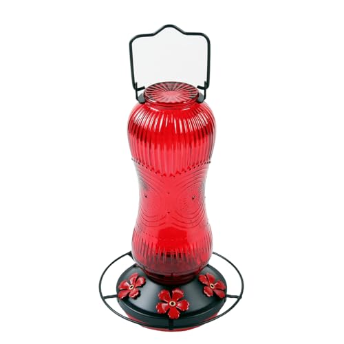 Laikoutd 760 Ml Glas Hummingbird Feeder Große Kapazität Freien Freien Wasserspender Mit Breiter Öffnung Für Einfache Maintenancen Glass Hummingbird Feeder Laikoutd 760 Ml Glas Hummingbird Feeder Große Kapazität Freien Freien Wasserspender Mit Breiter Öffnung Für Einfache Maintenancen Glass Hummingbird Feeder von Laikoutd