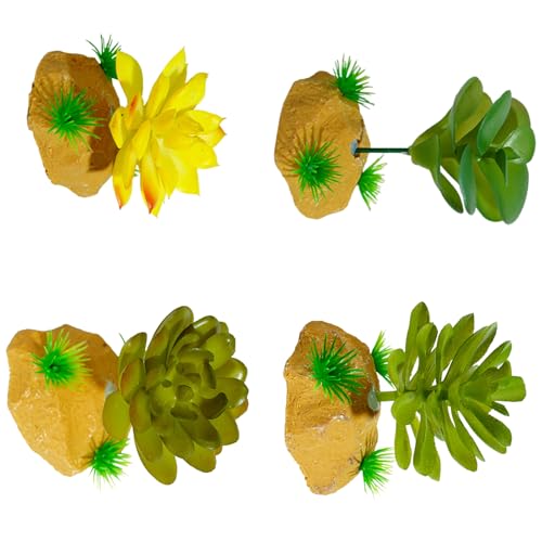 Laikoutd Künstliche Reptilien Pflanze Zum Klettern Von Versteck Terrarium Plastik Sukkulenten Falsches Gras Lebensraum Ornamente Realistische Reptilien Gras Laikoutd Künstliche Reptilien Pflanze Zum Klettern Von Versteck Terrarium Plastik Sukkulenten Falsches Gras Lebensraum Ornamente Realistische Reptilien Gras von Laikoutd