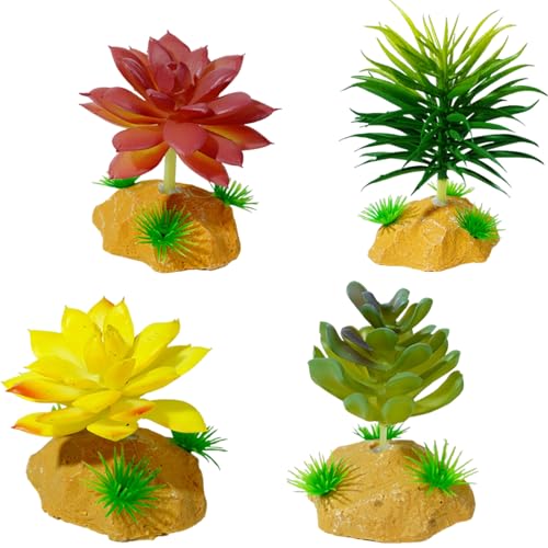 Laikoutd Künstliche Reptilien Pflanze Zum Klettern Von Versteck Terrarium Plastik Sukkulenten Falsches Gras Lebensraum Ornamente Realistische Reptilien Gras Laikoutd Künstliche Reptilien Pflanze Zum Klettern Von Versteck Terrarium Plastik Sukkulenten Falsches Gras Lebensraum Ornamente Realistische Reptilien Gras von Laikoutd