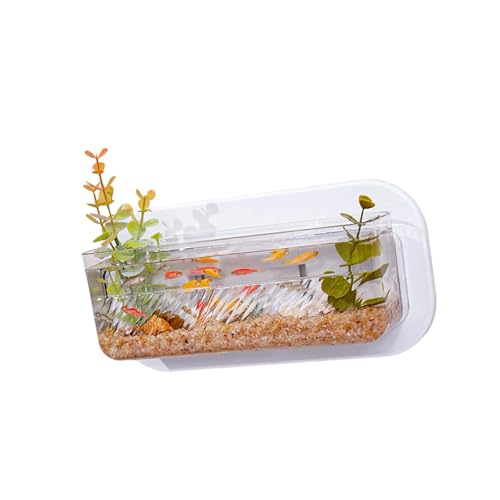 Platzsparende Wand-Aquarien und Hydrokultur-Pflanzgefäß, Wand-Pflanztöpfe für Zimmerpflanzen und Haustierfische von Laikoutd