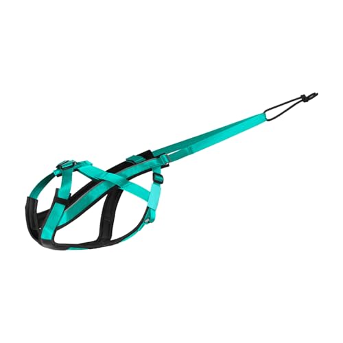 Reflektierender Schneegurte Für Große Hunde Verstellbares Haustier Gewicht Ziehen Rodeln Bequeme Polsterträgerresistent Fit Großes Hundekabelbaum von Laikoutd