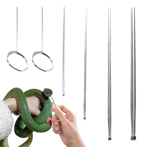 6 Stück Schlangensonde Für Reptilien, Schlangensexing Sonden Geschlechtersonden Mit Runden Spitze, Hypoallergene Schlangensonde Aus Ungiftigem Edelstahl Mit Box, Sicheres, Genaues Sexing von Lainiaoly